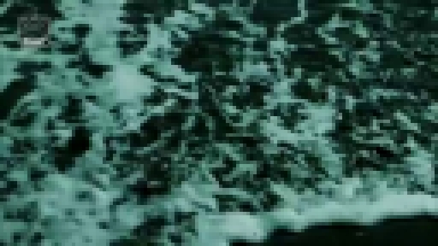 Музыкальный видеоклип Paul Van Dyk Ft Arty - The Ocean (Official Video)  