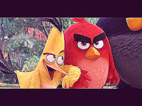 Злые птички: Angry Birds в Кино 2016 - Русский трейлер мультфильма 
