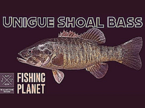 Fishing Planet: Unigue Shoal Bass Mississippi Party Cloudy 