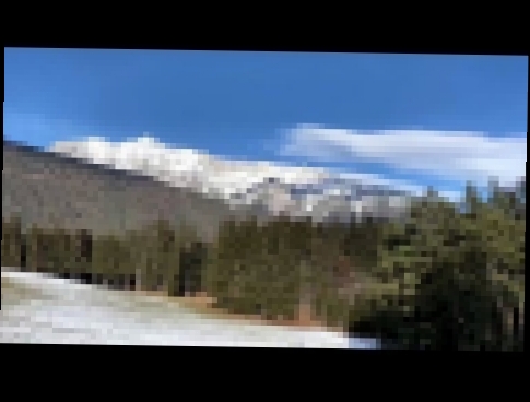 Австрия. Великолепный австрийский лес в Альпах в январе. видео сына 3.01.2021г. 