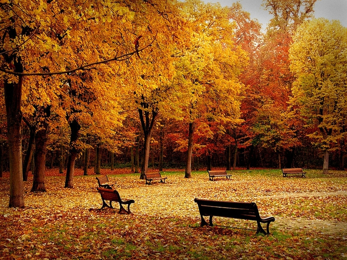 Осень пришла [2002] фото Андрей Губин