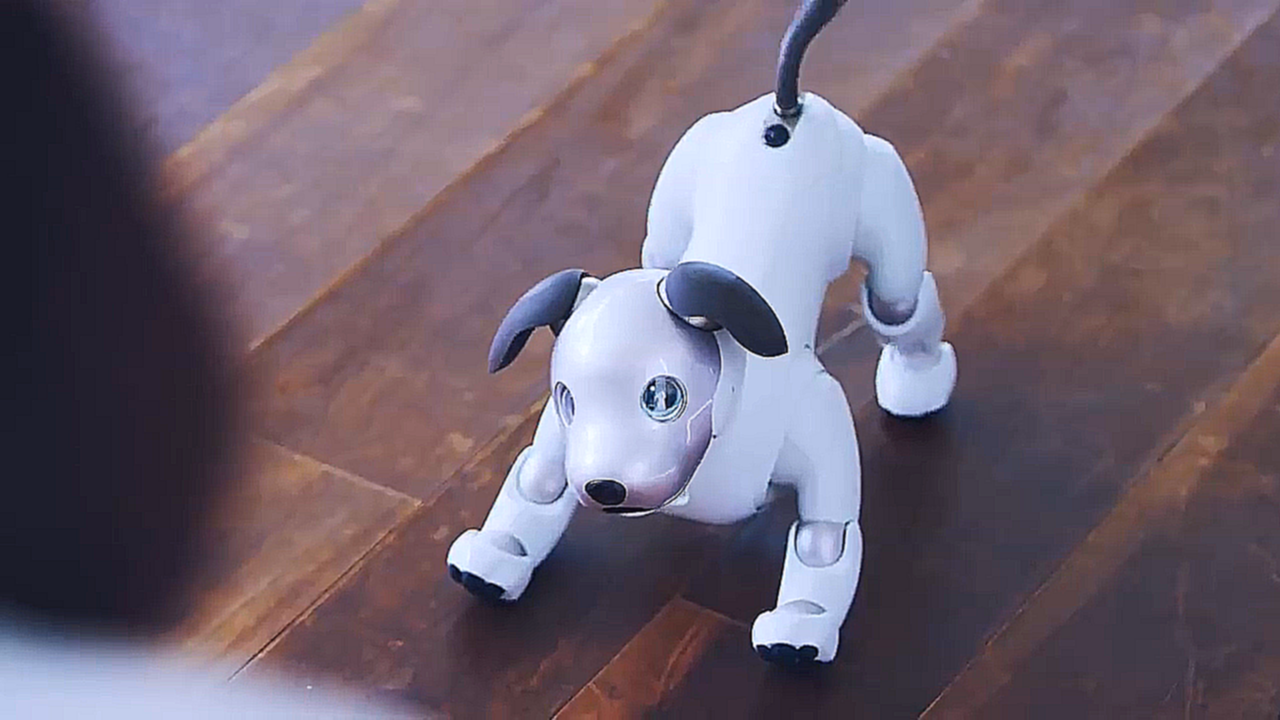 Робот-собака Aibo  