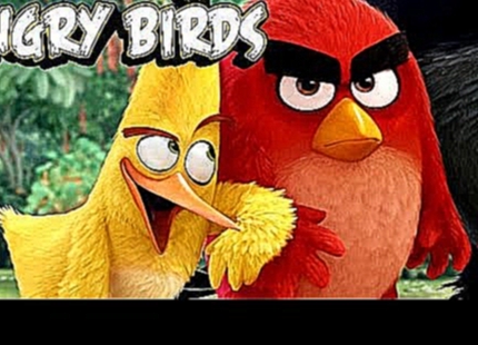 Angry Birds / Энгри Бердс - Гонки в кино! Мультфильмы для детей 2016 