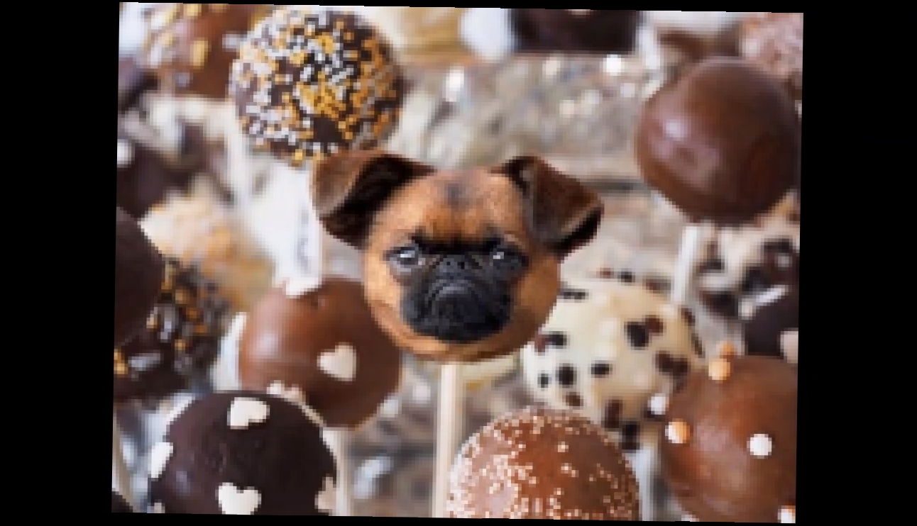 Собаки в еде - забавные картинки, которые сделаны с помощью фотошопа 