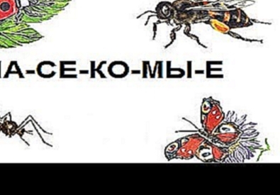 Развивающий мультфильм: насекомые. Учимся читать по слогам 