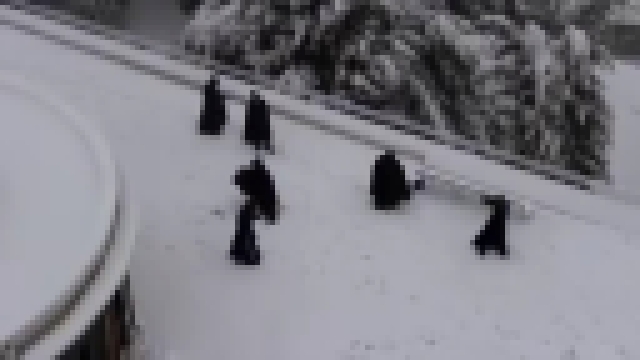 Монахи играют в снежки 