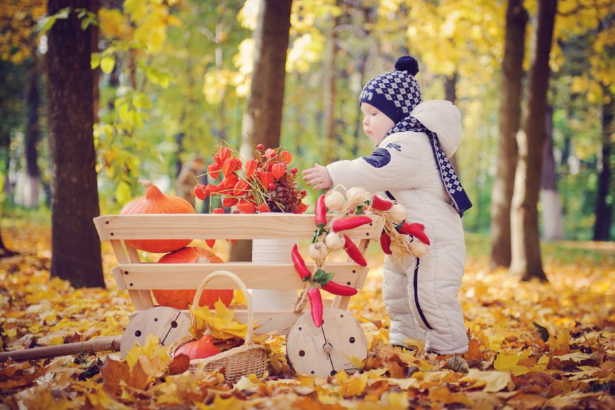 Осенняя история фото Детская