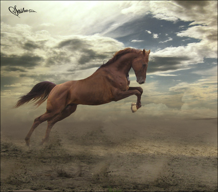 Быстро твоя лошадка скачет фото Детское издательство 
