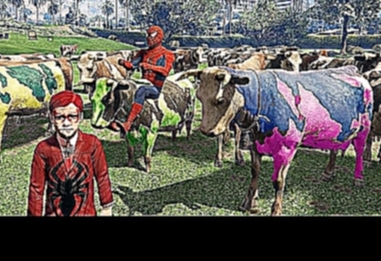 Человек-паук и паук Молния Goes Riding корова мультфильм детей вместе, как новая глава 