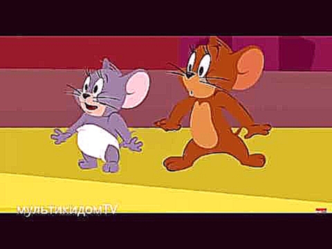 Мультфильм Том и Джерри cartoon tom and jerry full movie in english 
