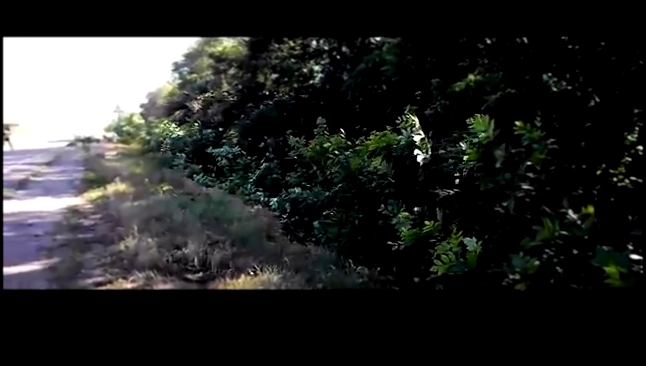 Музыкальный видеоклип Гибель карательного батальона 'Айдар' 