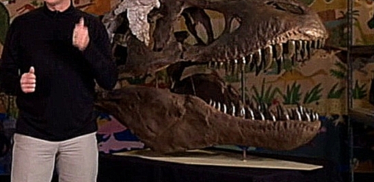 Поезд Динозавров 2 сезон серия 5. Бадди изучает Тиранозавров. Дождливый день 