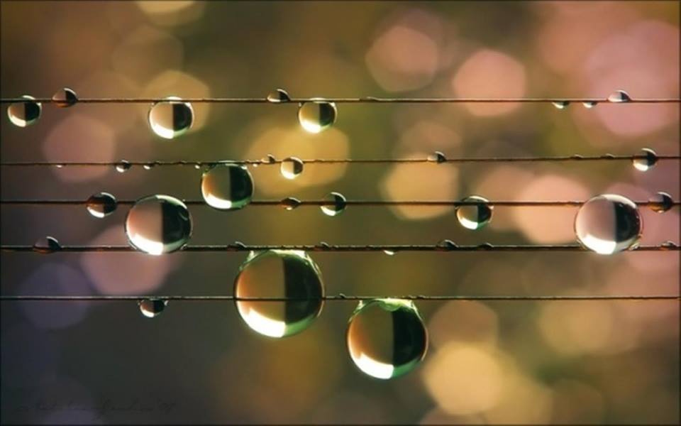 Капли дождя фото музыка