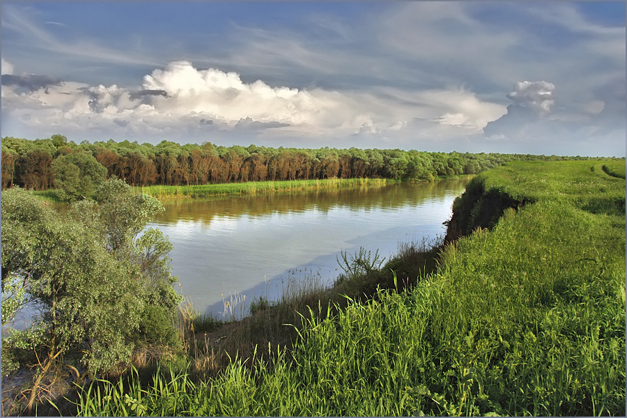 Кубань река Шиянов. фото Неизвестен
