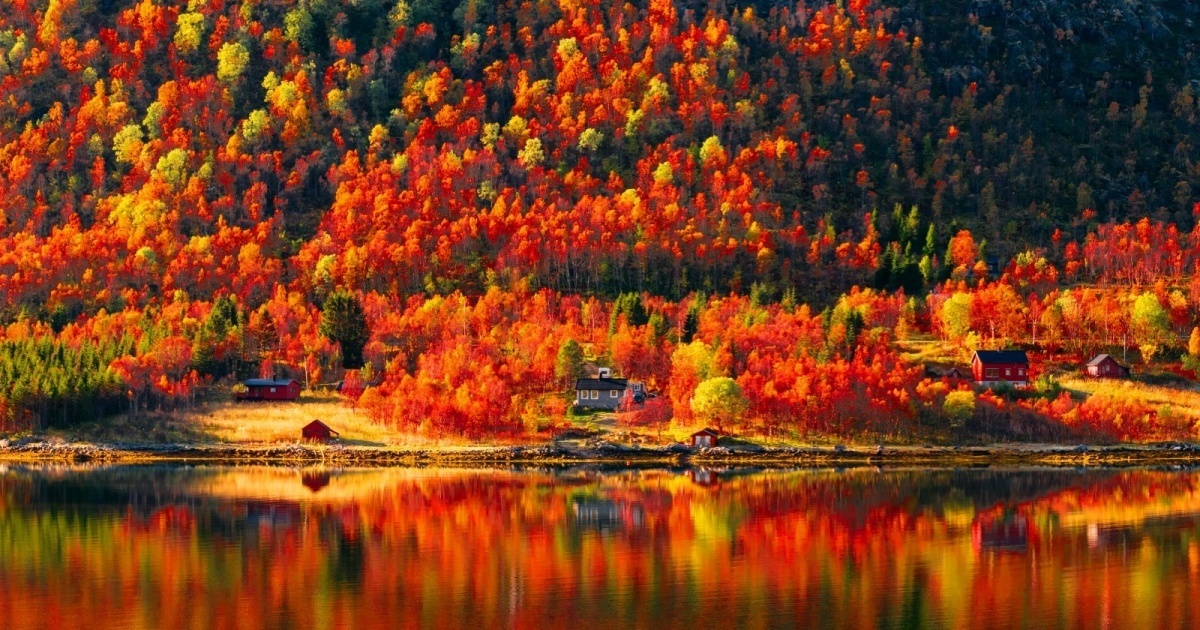 Осень фото Осень золотая