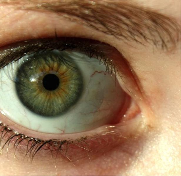 Зеленые глаза фото Отрадная Раиса
