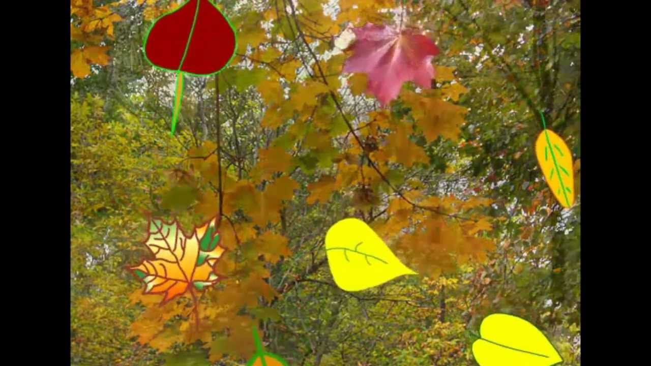 Падают листья фото Александр Буйнов
