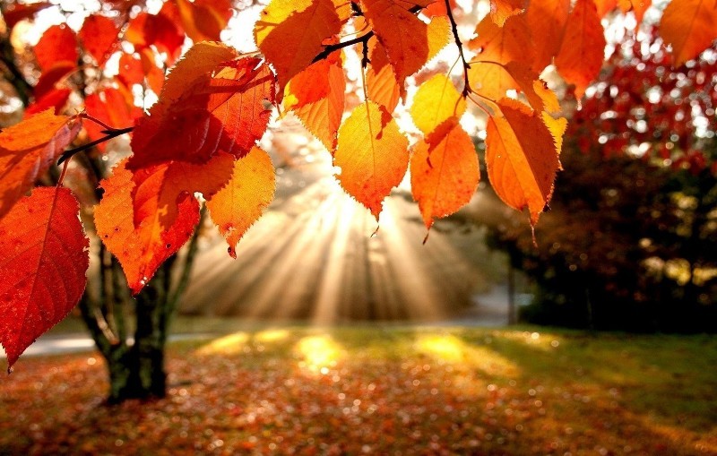 Осенняя фото Песни про осень