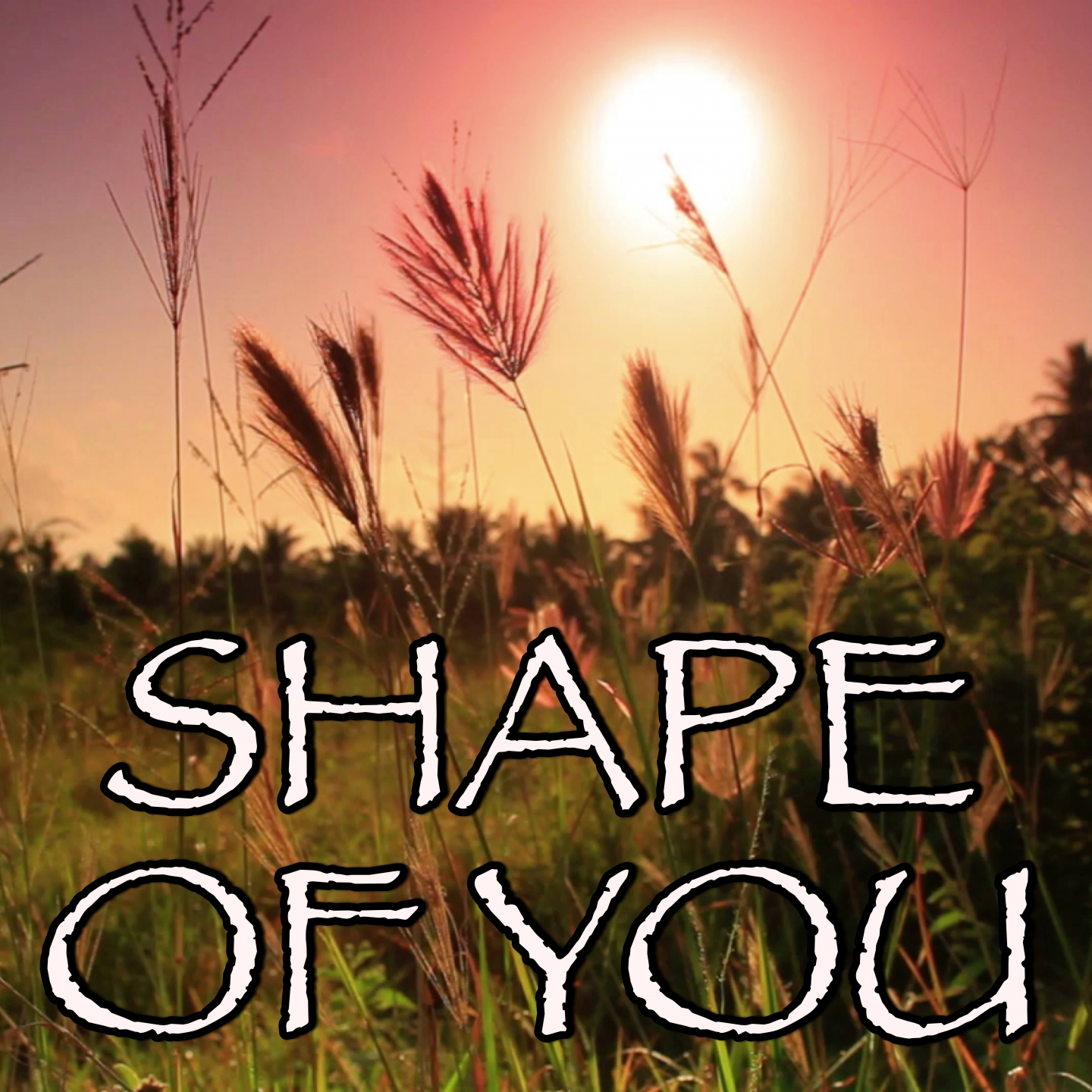 Shape Of You (Tribute to Ed Sheeran) фото Barberry Records