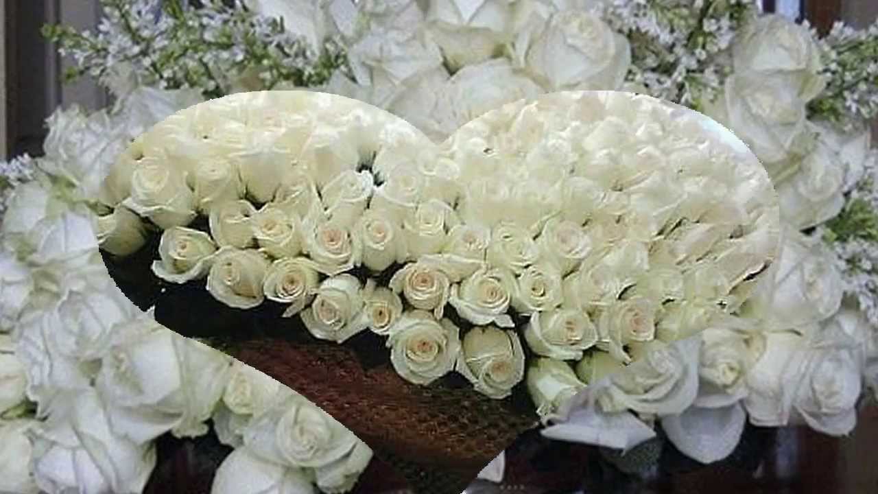 Слушать королева виктора букет из белых роз. Белые Роскошные цветы. Самые большие букеты. Красивый букет белых цветов. Роскошный букет белых роз.